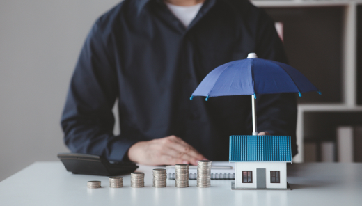 Insurance consultation process